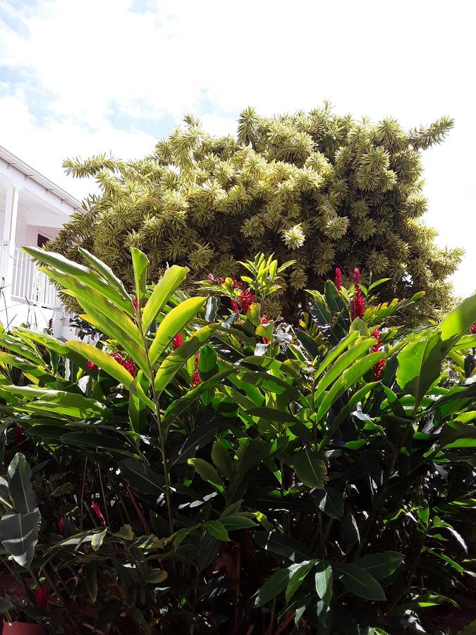 Les Jardins De Valentin Daire Le Gosier  Dış mekan fotoğraf