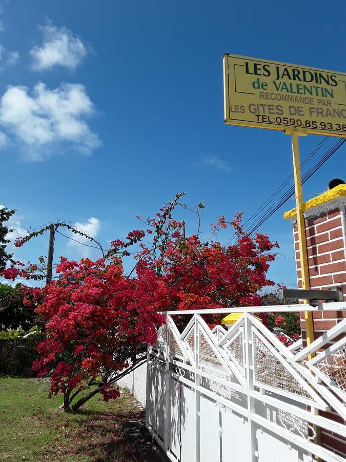 Les Jardins De Valentin Daire Le Gosier  Dış mekan fotoğraf